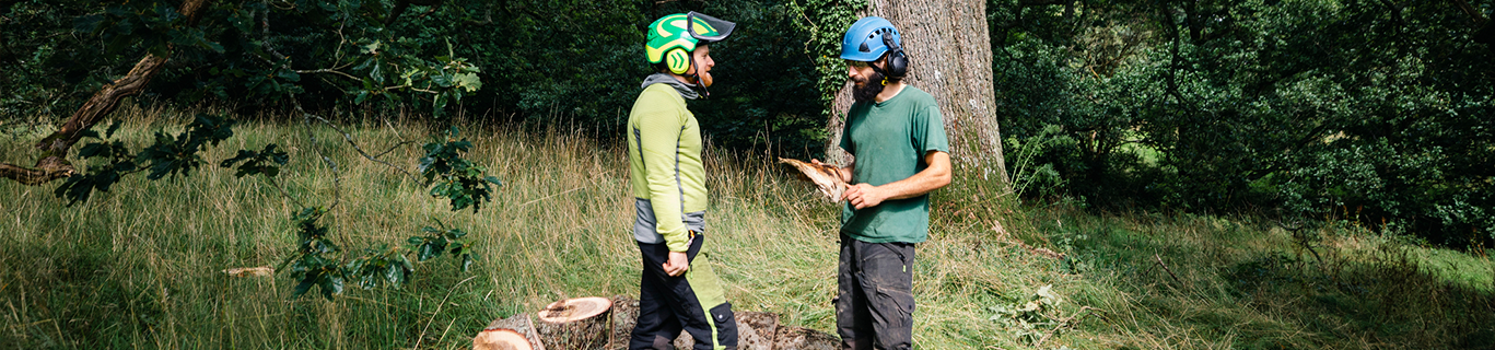 Two arboriculture staff members discussing trees